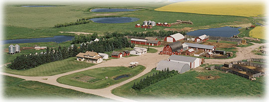 Aerial View of Bender Shorthorns