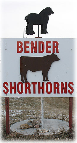 Bender Shorthorns Gate Sign